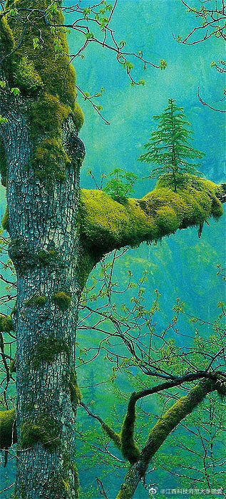 4、激光焊接設備在焊接環節中必須掌握什么關鍵點